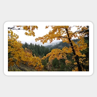 Misty Mountains Gold Sticker